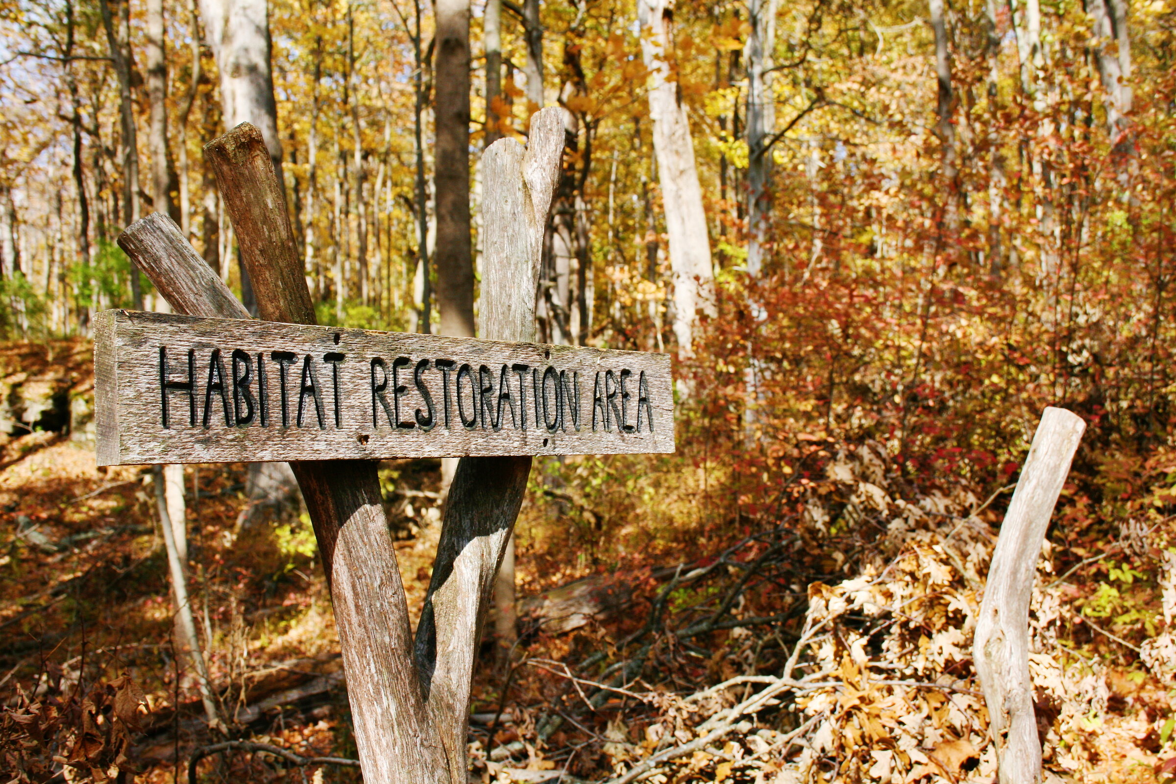 Habitat restoration area